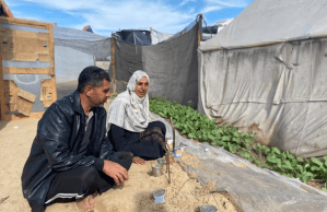 Cultivating hope in a sea of desolation