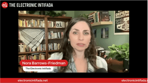 Students achieve Israeli divestment victories on US college campuses